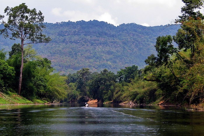 parc national Xe Pian au Laos